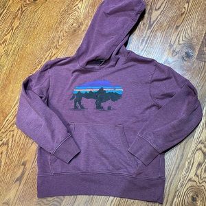 Girls Medium (used/good condition) Patagonia hooded sweatshirt